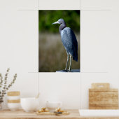 Poster Aiguille bleue dans la nature (Cuisine)