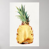 Poster Aiguille coupée en deux Aquarelle de Fruit Peintur (Devant)