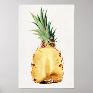 Poster Aiguille coupée en deux Aquarelle de Fruit Peintur