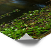 Poster Aiguille de chasse (Coin)