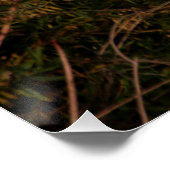 Poster Aiguille du crépuscule (Coin)