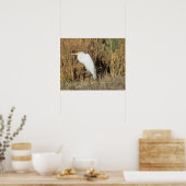 Poster - Aiguille en herbe (Cuisine)