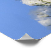 Poster aiguilles de pin (Coin)