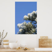 Poster aiguilles de pin (Cuisine)