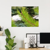 Poster Aiguilles de pin (Bureau à domicile)