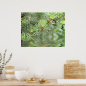 Poster aiguilles de pin au-dessus de l'eau (Cuisine)