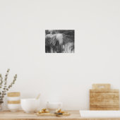 Poster Aiguilles de pin de glace neige Noir Blanc Nature  (Cuisine)