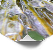 Poster Aiguilles de pin recouvert de glace Botanique hive (Coin)