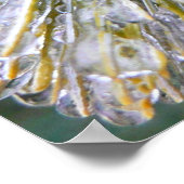 Poster Aiguilles de pin recouvert de glace Botanique hive (Coin)