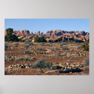 Poster Aiguilles du sentier Pothole Point à Canyonlands