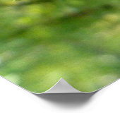 Poster Aiguilles et gouttelettes (Coin)