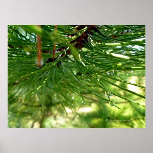 Poster Aiguilles et gouttelettes (Devant)