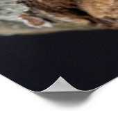 Poster Aiguilles Rouges Africaines Treefrog, Leptopelis (Coin)