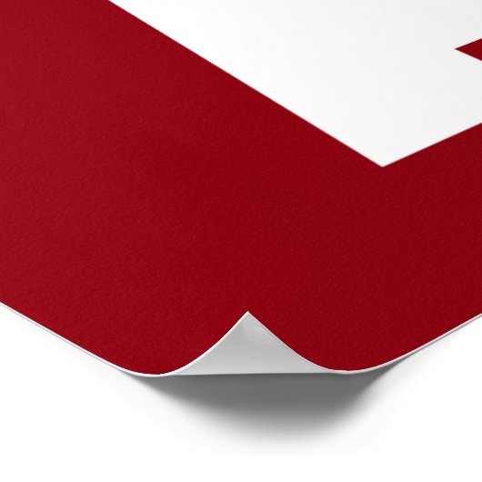 Poster Aikido (Coin)