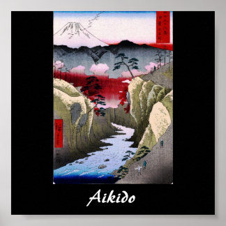 Poster Aikido Japonais Martial Art