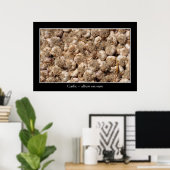 Poster Ail en français (Bureau à domicile)