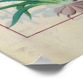 Poster Ail et autres plantes (Coin)