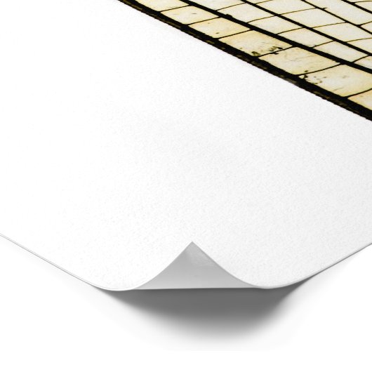 Poster Aile de libellules (Coin)