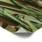 Poster aile rouge (Coin)