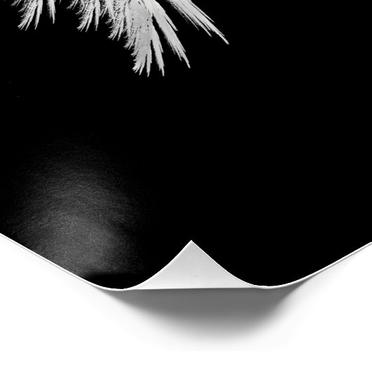 Poster AILES D'ANGE Noir (Coin)