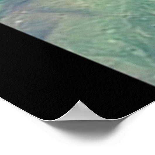 Poster Ailes de Dragon Fire Starvol Graphic (Coin)