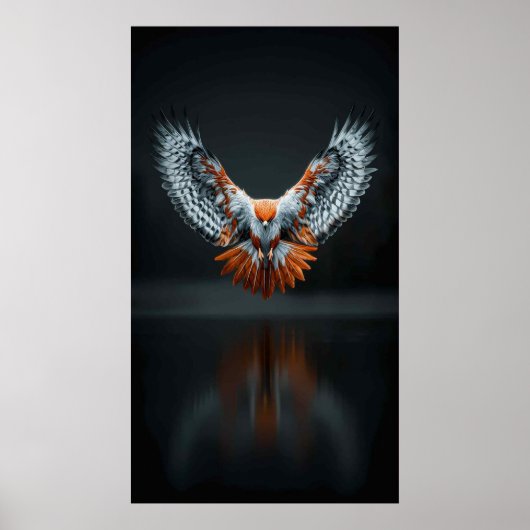 Poster Ailes de feu et d'ombre (Devant)