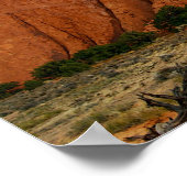 Poster Ailes de grès, Parc national des Arches, Utah (Coin)