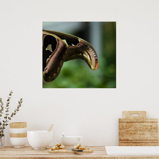 Poster Ailes de l'Atlas (Cuisine)