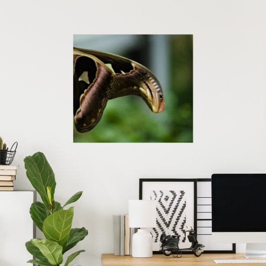 Poster Ailes de l'Atlas (Bureau à domicile)