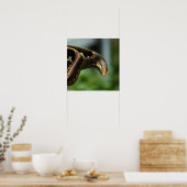Poster Ailes de Papillon Atlas (Cuisine)