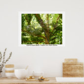 Poster 'Ailes de verre tendues' (Cuisine)