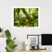 Poster 'Ailes de verre tendues' (Bureau à domicile)