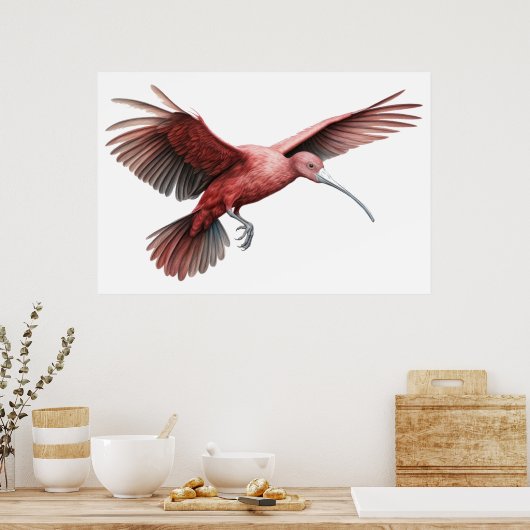 Poster Ailes d'extension Ibis (Cuisine)