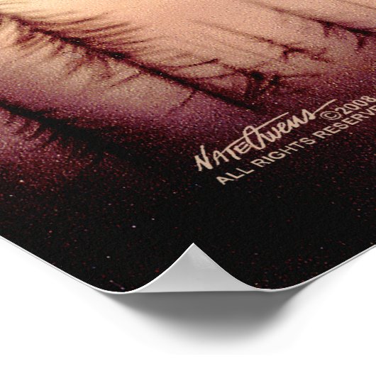 Poster Ailes d'un aigle (Coin)