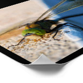 Poster Ailes d'une Libellule (Coin)