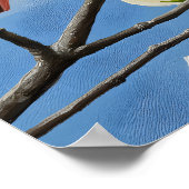 Poster Ailes rouges et pétales blancs (Coin)