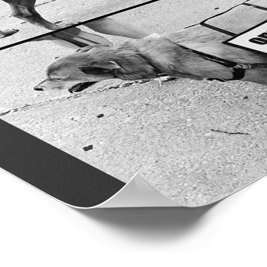 Poster Aimer les animaux (Coin)