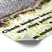 Poster Aimer les hérissons (Coin)