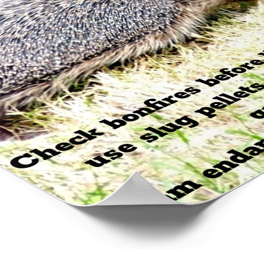 Poster Aimer les hérissons (Coin)