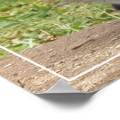 Poster Aimer les yeux (Coin)