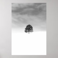 AIMEZ LA SIMPLICITÉ DE LA PHOTOGRAPHIE HIVER C'EST