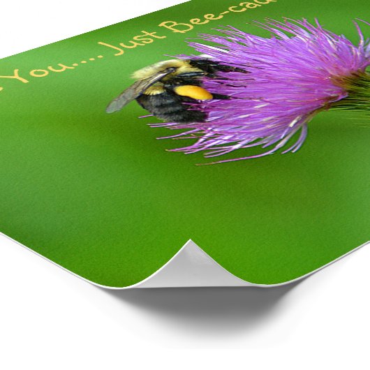 Poster Aimez-vous juste être cause (Coin)