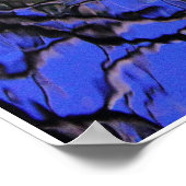 Poster Air Koi (Coin)