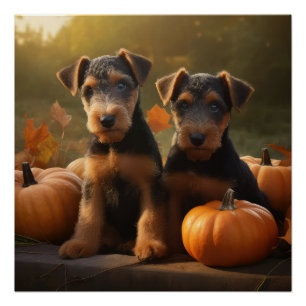 Poster Airedale Chiot Automne Citrouille délice