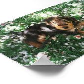 Poster Airedale pup dans le champ de fleurs (Coin)