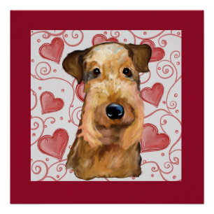 Poster Airedale Terrier