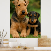 Poster Airedale Terrier Avec Chiot (Cuisine)