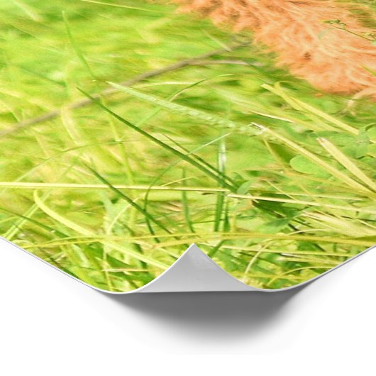 Poster Airedale Terrier Chien chiot (Coin)