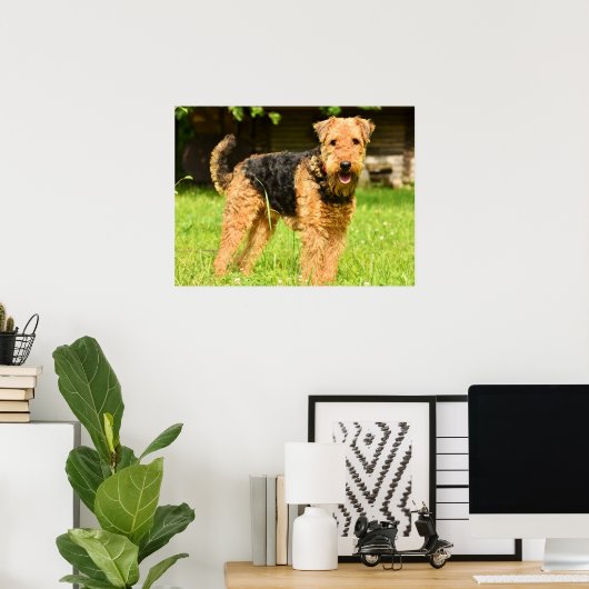 Poster Airedale Terrier Chien chiot (Bureau à domicile)