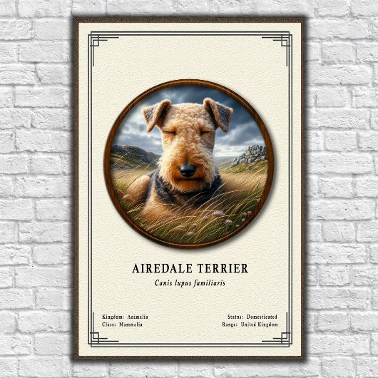 Poster Airedale Terrier Zoology Series